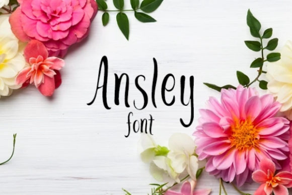 Ansley: A Handwritten Font That Elevates Creative Campaigns