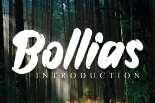 Bollias: A Handwritten Font for Creative Projects