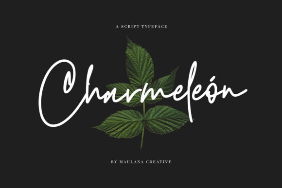 Charmeleon: A Font for Elegant Branding