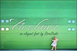 Thelma Font Review: A Romantic Script for Creative Branding